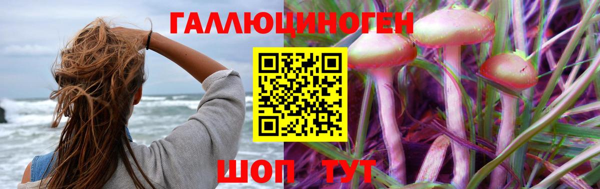 Железногорск  Галлюциногенные грибы MAGIC MUSHROOMS  Вход с VPN 